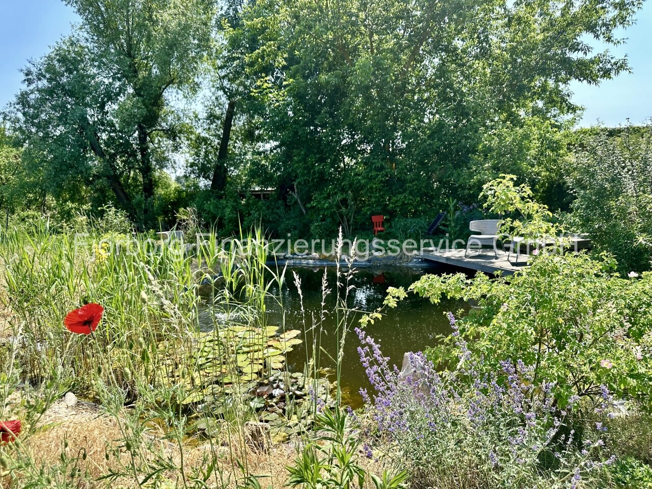 Schwimmteich Schwimmteich