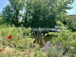 Schwimmteich Schwimmteich