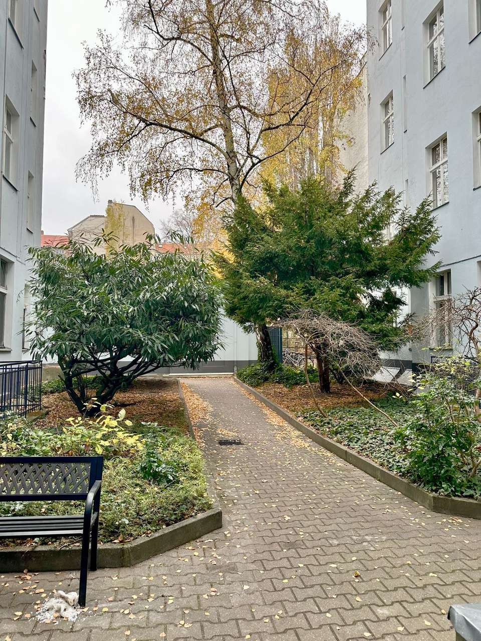 begrünter Hinterhof begrünter Hinterhof