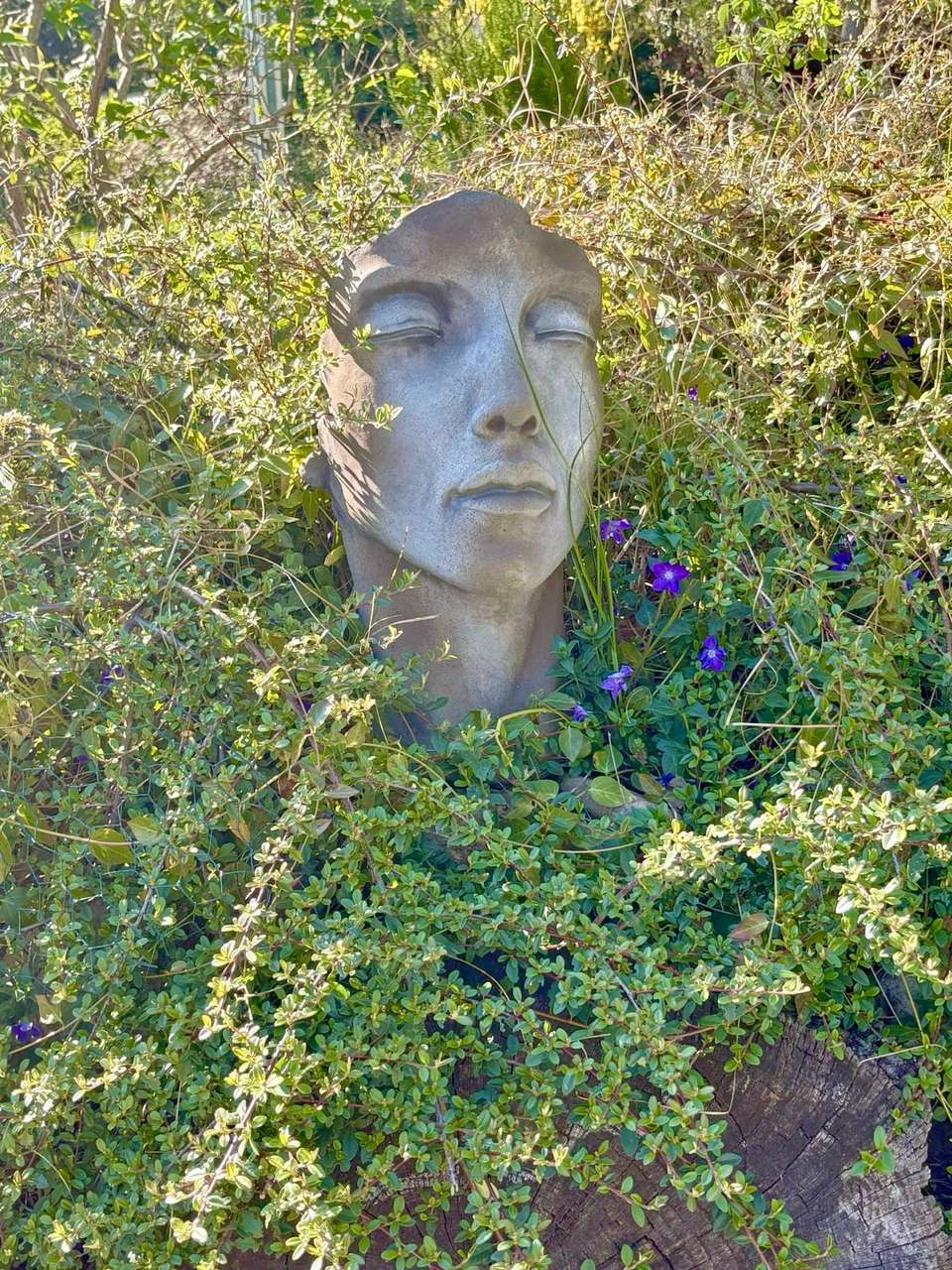 Garten Garten