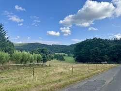Ausblick Ausblick