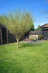 Garten Garten