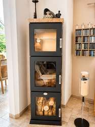 Kamin mit Backfunktion